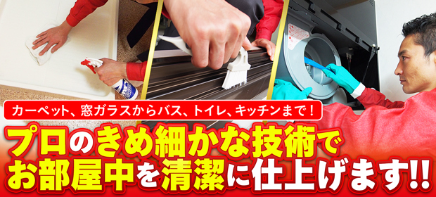 ハウスクリーニング